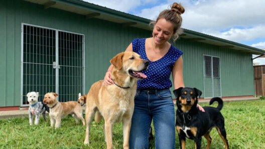 creche legal de cachorro