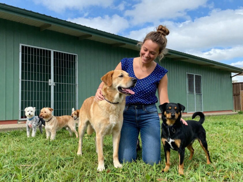 creche legal de cachorro